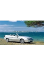 YYO Volvo C70 Cabrio Bagaj Amortisörü 1998-2005 (2 Adet)