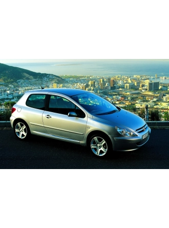 YYO Peugeot 307 Hb. Bagaj Amortisörü 2001-2008 (2 Adet)