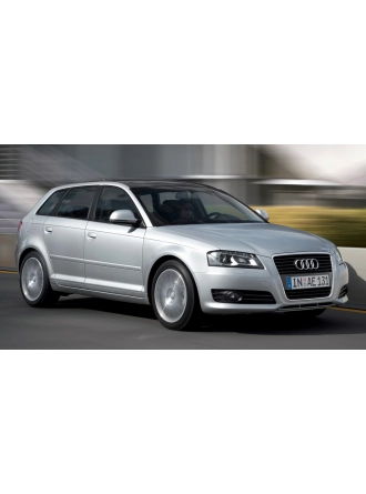 YYO Audi A3 5 Kapı Bagaj Amortisörü 2004-2012 (2 Adet)