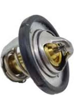 Kale Ford Focus Termostat Kale