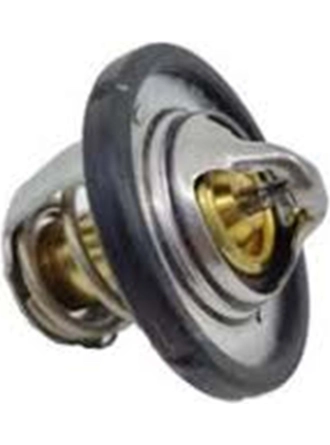 Kale Ford Focus Termostat Kale