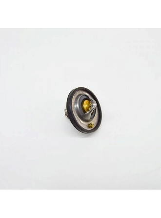 Termostat 74 C Ford Focus C-Max-Focus I-Focus Ii-Puma 313105