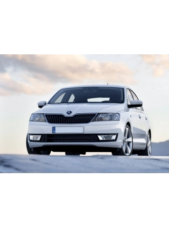 After Skoda Rapid 2012-2021 Kol Dayama Kolçak Kapağı Açma Mandalı Düğmesi Tuşu Siyah 3B0868445