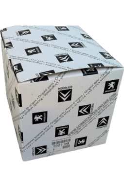 Peugeot 0311.29 Karter Tapasi Dw4 Dw6 Dw10c/Dw12ted 10.Luk 031129 (WF321945)