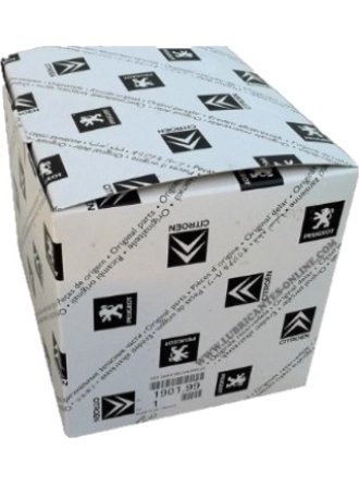 Peugeot 0311.29 Karter Tapasi Dw4 Dw6 Dw10c/Dw12ted 10.Luk 031129 (WF321945)
