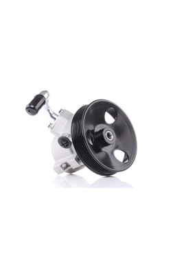 PSA 25980805 | Opel Antara 2.0 Dizel Direksiyon Pompası Orijinal 2007-2011