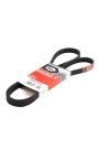 GATES 5PK1545 | V Kayışı Astra.G.H 1.6 16V *Z16xep*
