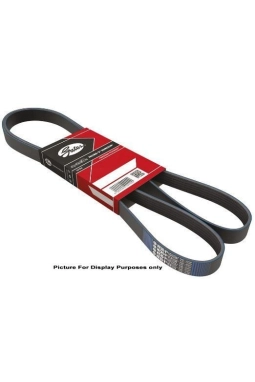 GATES 6PK1590 | Opel Astra G 1.7 Klimalı Araç V Kayışı