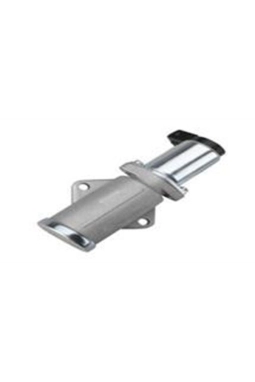 MAGNETI MARELLI 359000601110 | Rolantı Ayar Valfi Vectra.B 2.0 16V *X20xev*