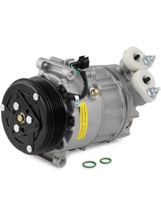 DELPHI TSP0155025 | Opel Astra G X16XEL / X14XE Klima Kompresörü 1998-2000
