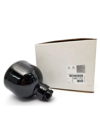 PSA 2461.F2 | Opel Astra H 1.3 Dizel Easytronic M20 Şanzıman Robot Basınç Tüpü