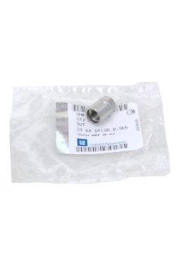 PSA 13581557 | Opel Astra J Lastik Basınç Sensör Somunu