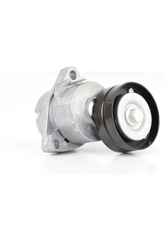 BSG 65-615-014 | Opel Corsa B 1.4 / 1.6 Komple V Kayış Gergi Kütüğü