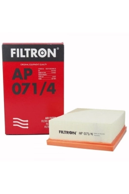 FILTRON AP071-4 | Opel Mokka Hava Filtresi