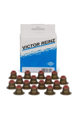VİCTOR REİNZ 12-36613-01 | Opel İnsignia 1.6 Subap Lastiği Takım Victor