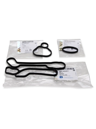 Chevrolet Aveo 2010-2011 1.4 Benzinli Yağ Soğutucu Oring Tamir Takımı Orijinal