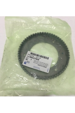 PSA 96437909 | Chevrolet Lacetti Krank Mil Arka Okuyucu Sacı Orijinal