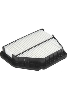 FILTRON AP109-3 | Chevrolet Captiva Hava Filtresi