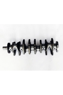 PSA 25183163 | Chevrolet Captiva C140 Krank Mili Orijinal