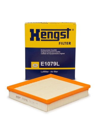 HENGST E1079L | Bmw F20 Kasa 116i Hava Filtresi