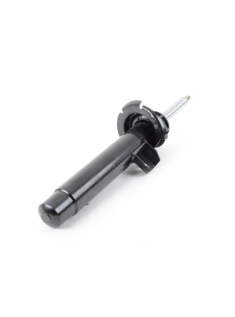 BSG 31316850358 | Bmw F20 Kasa 116d Ön Amortisör Gautoparts Marka