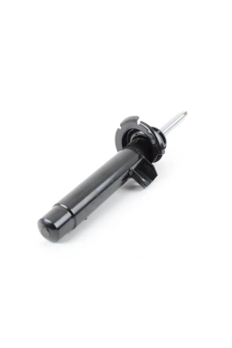 BSG 31316850358 | Bmw F20 Kasa 120i Ön Amortisör Gautoparts Marka