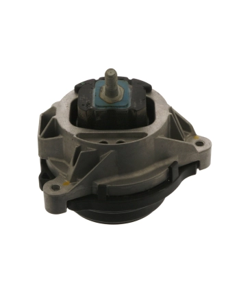 CORTECO 80004452 | Bmw F20 Kasa 116i Sağ Motor Kulağı