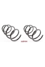 LESJÖFORS 4008446 | Bmw 3 Serisi E46 Kasa 330d Ön Helezon Yay Takımı