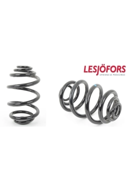 LESJÖFORS 4208431 | Bmw 3 Serisi E46 Kasa Arka Helezon Yay Takımı