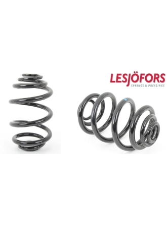LESJÖFORS 4208431 | Bmw 3 Serisi E46 Kasa Arka Helezon Yay Takımı