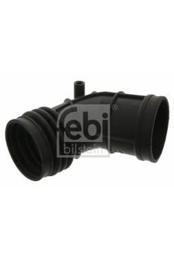 FEBI BILSTEIN 39055 | Hava Akıs Körüğü BMW E46 M52 M54