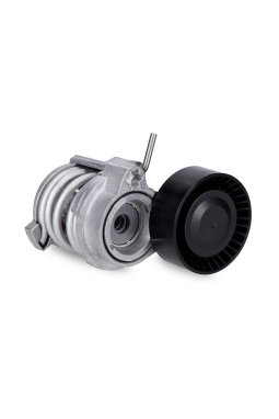 INA 534070810 | Bmw 3 Serisi E46 Kasa 316i 318i N40 Motor Kayış Gergi Kütüğü