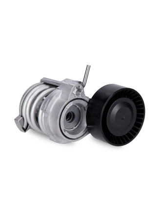 INA 534070810 | Bmw 3 Serisi E46 Kasa 316i 318i N40 Motor Kayış Gergi Kütüğü