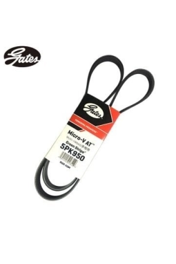 CONTINENTAL CTAM 5PK950 | Bmw 3 Serisi E46 Kasa 318i M43 Klima Kayışı (5PK 950)