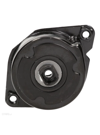 INA 534023910 | Bmw E46 Kasa 320d M47 Motor Kayış Gergi Kütüğü