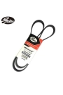 GATES 5PK948 | Bmw 3 Serisi E46 Kasa 318i M43 Klima Kayışı (5PK 950) (GAT.5PK950)