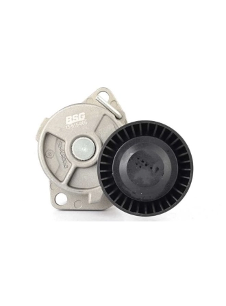 BSG 15-615-005 | Bmw 3 Serisi E46 Kasa M43 Kayış Gergi Kütüğü Komple