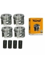 GOETZE 70246STD | Bmw 3 Serisi E90 Kasa 320d (N47 Motor) Piston-Segman Takımı