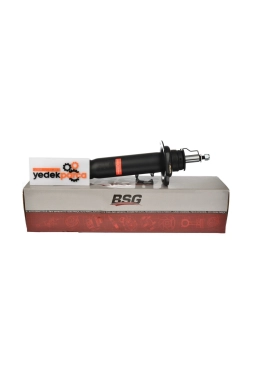 BSG 31316850358 | Bmw F30 Kasa 318i Ön Amortisör Gautoparts Marka