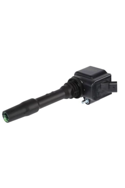 BOSCH 0986221124 | Bmw F30 Kasa 318i B38 Motor Ateşleme Bobini