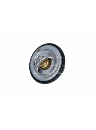 NRF 725096 | VW T4 2.5 ACV Termostat 069121113C