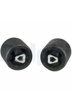DELPHI TD891W | Salıncak Burcu 04-5-Seri (E60-E61) | 2 Adet