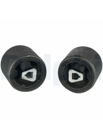 DELPHI TD891W | Salıncak Burcu 04-5-Seri (E60-E61) | 2 Adet