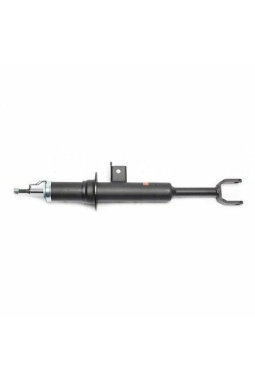 GAUTOPARTS 31316789364 | Bmw 5 Serisi F10 Kasa Ön Sağ Amortisör