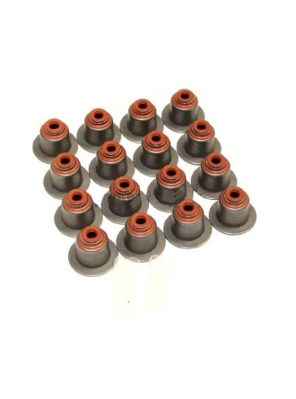 VİCTOR REİNZ 12-39398-01 | Bmw F10 Kasa 520d N47 Motor Subap Lastiği Takım Victor