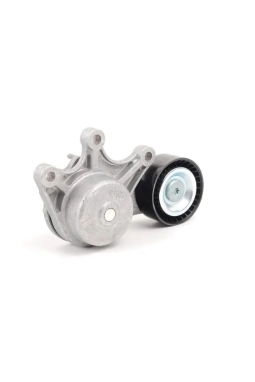 INA 534053510 | Bmw F10 Kasa 520i N20 Motor Kayış Gergi Kütüğü Komple
