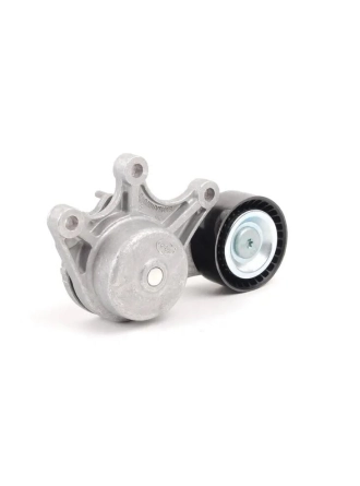 INA 534053510 | Bmw F10 Kasa 520i N20 Motor Kayış Gergi Kütüğü Komple