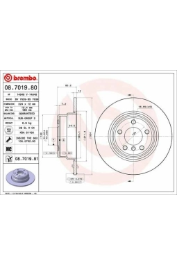 BREMBO 08.7019.81 | Fren Diski E-53 Arka Tek | 2 Adet