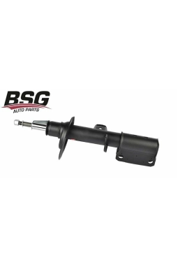 BSG 15-300-015 | Bmw X5 Serisi E53 Kasa Ön Sol Amortisör
