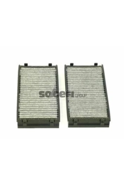 PURFLUX AHC349-2 | Polen Filtresi 06-X5 (E70-F15-F85) X6 (E71-E72-F16-F86) + Ca